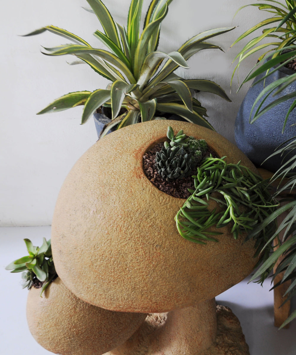 The Garden Mushroom Planter